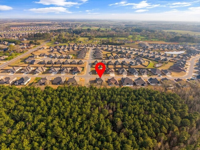 Building Photo - 14855 Willow Rose Ln