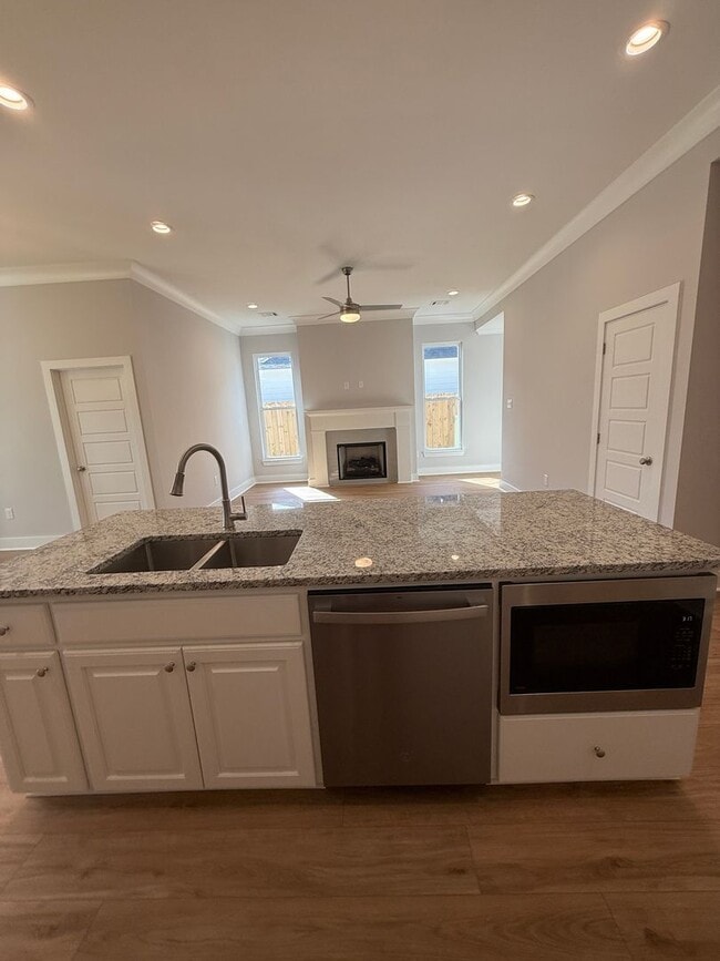 Building Photo - Must See! New 4/2 Home off Tiger Bend Rd. ...