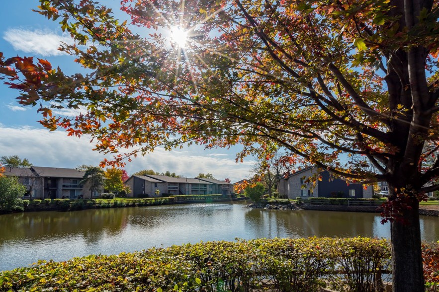 Primary Photo - Lakeside Apartments