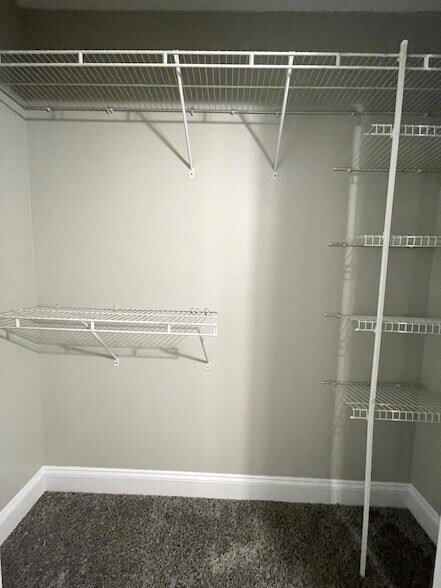 Building Photo - 383 Springview Ln