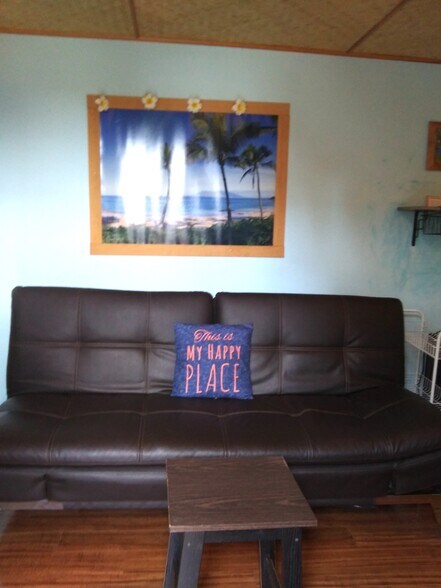 local artwork, bamboo decor - 281 Kaikea St