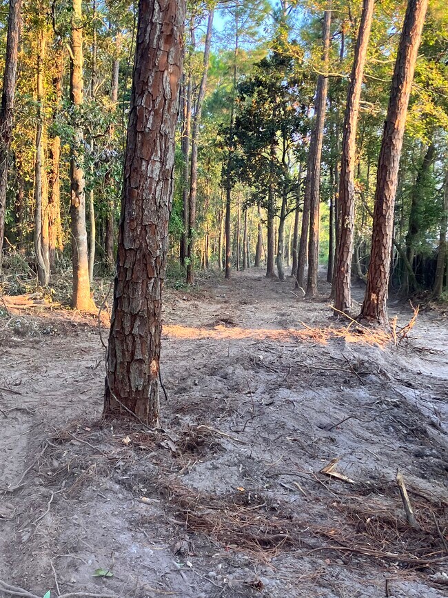 Building Photo - 164 Golden Meadow Dr