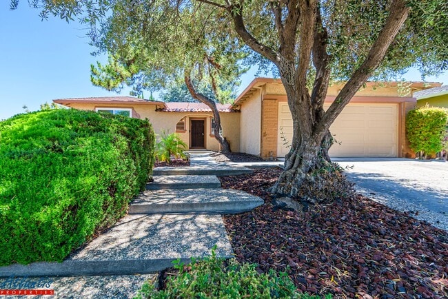 Primary Photo - Lovely Blossom Valley Home