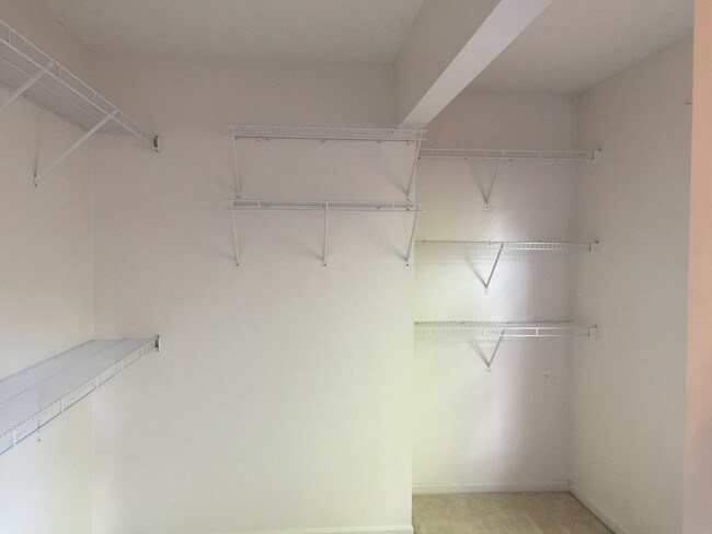 master closet - 1343 Sprucewood Ct