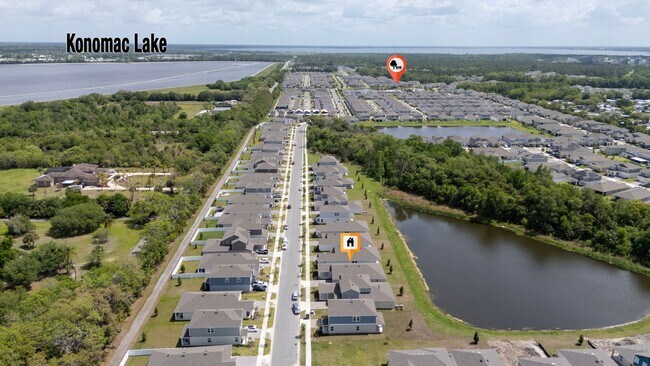 Building Photo - 3 Bedrrom 2 bathroom + Office-Brand-New Luxury Living in Rivington – DeBary, FL