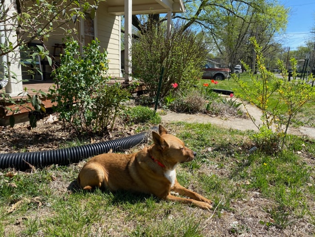 Building Photo - 246 N 8th St