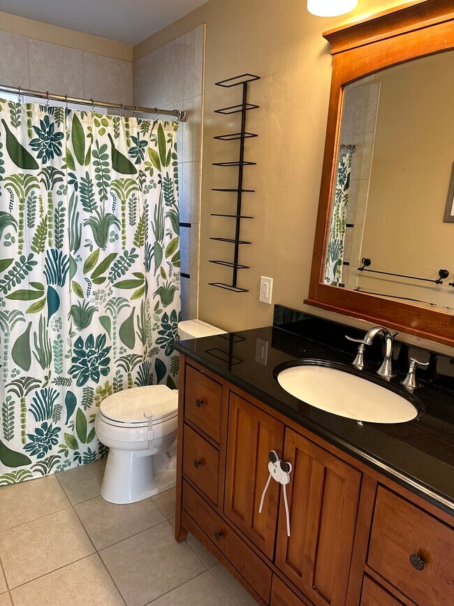 main bathroom - 352 Goldco Cir