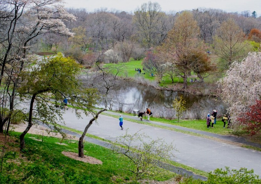 Arnold Arboretum is close with hundreds of plant species and miles of trails - 8 Alveston St