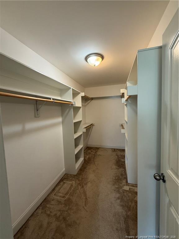 Building Photo - 60 Wildlife Bridge Ct