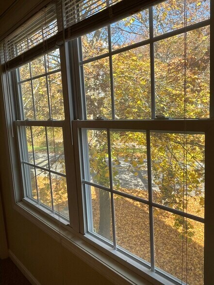 Master Bedroom View - 2020 Palmer Rd