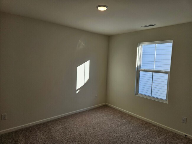 Building Photo - Brand new 3 bedroom, 2.5 bath Hampstead ho...