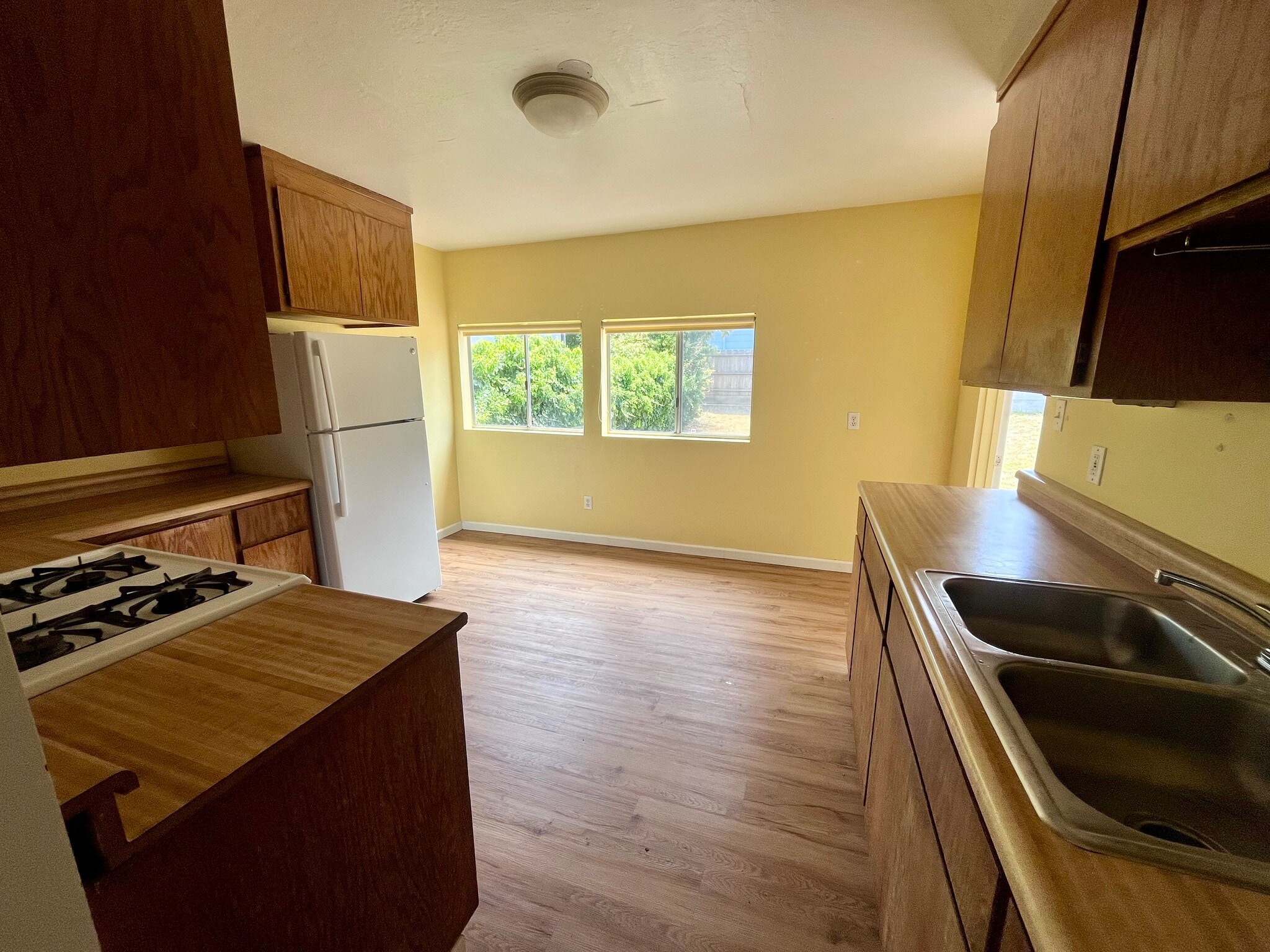 Sunny full kitchen - 409 Washington Ave