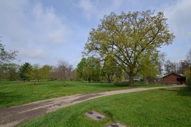 Building Photo - Newly Renovated 4 Bedroom Near Franklin Park- First month rent free