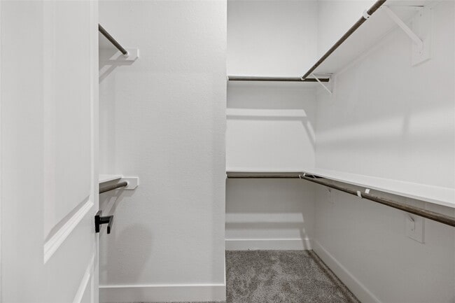 Building Photo - 14105 Faith Frst Dr