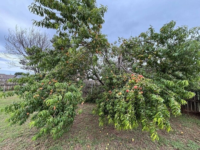 Building Photo - 1417 Matthew Dr