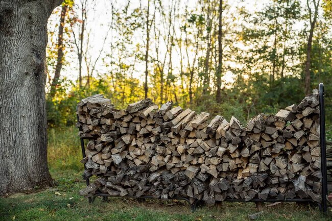 Building Photo - 1357 Canal Rd