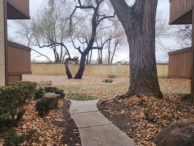 Building Photo - This one made the nice list! 2 bd. STUNNER! Hot Tub! Pet ok!