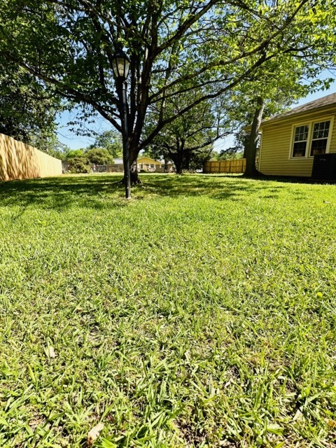 Spacious backyard - 101 Williams Dr