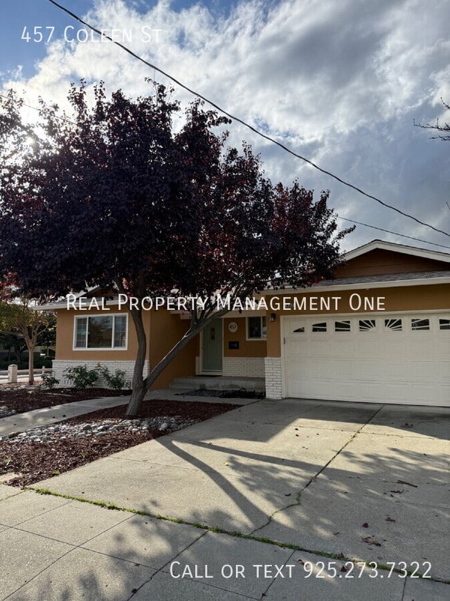 Building Photo - 457 Coleen St