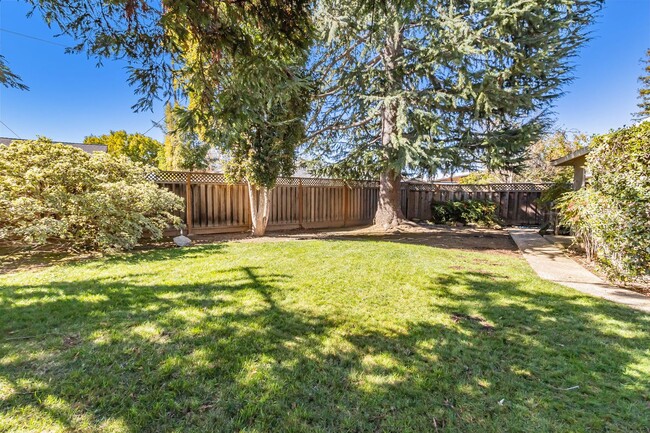 Building Photo - Beautiful Remodeled 5-Bedroom Los Altos Home