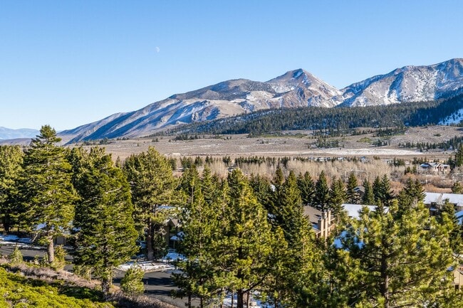 Building Photo - Mountain View Haven