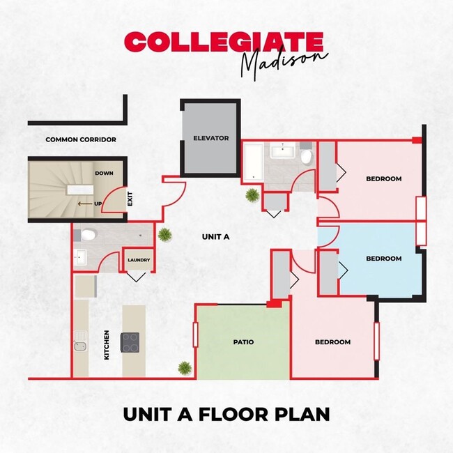 FloorPlan--3BR2BA--A - Collegiate Campus Apartments