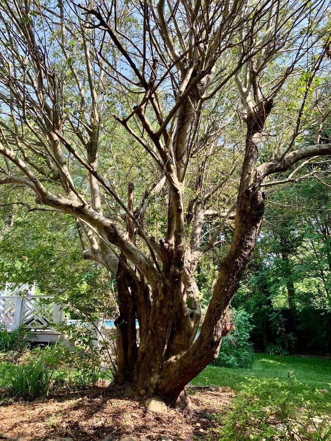 Building Photo - 49 Duke St