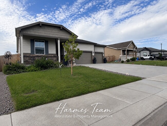 Building Photo - Beautiful Ranch Home with Open Layout & Private Backyard