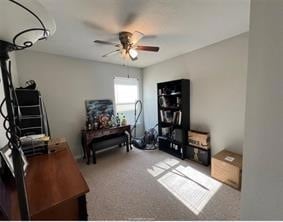 Building Photo - 265 Fieldstone Pl