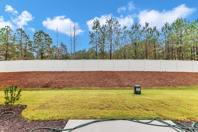 Building Photo - Brand New 3 Bedroom townhome in Durham