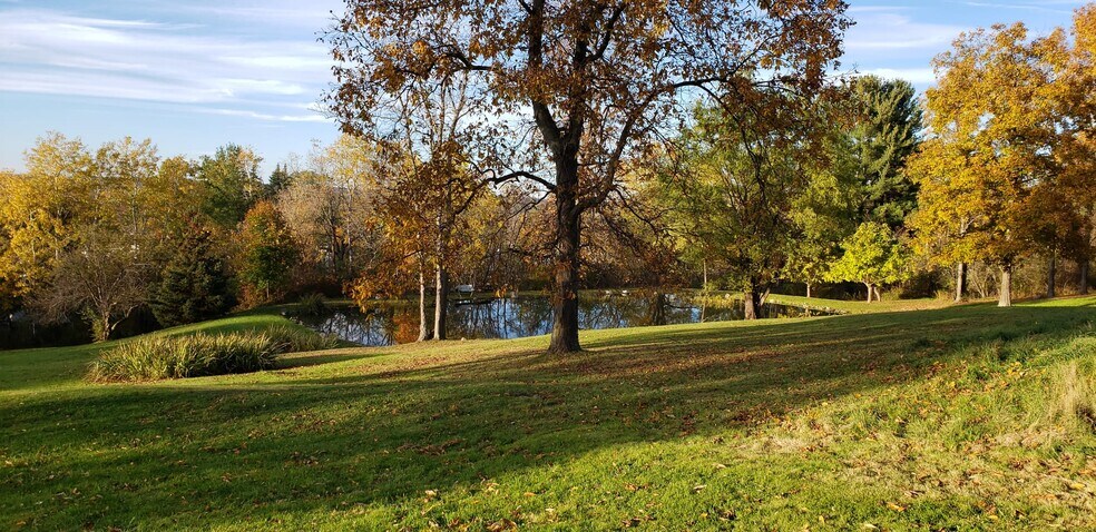 View on park and pond - 1307 Dryden Rd
