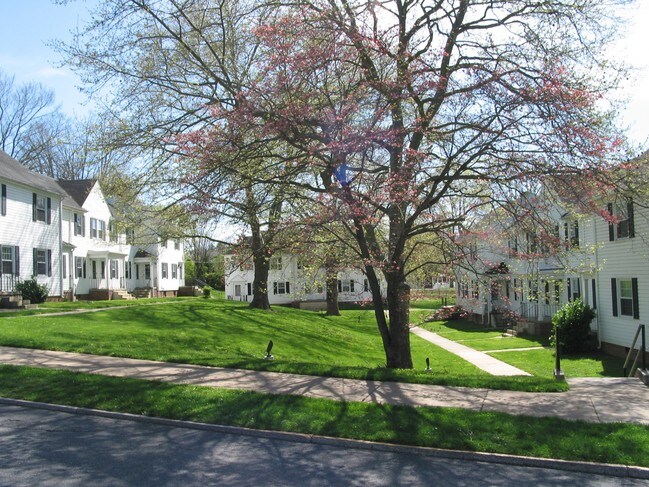 Primary Photo - 2BD/1BA - Walking Distance to Downtown and W&L!