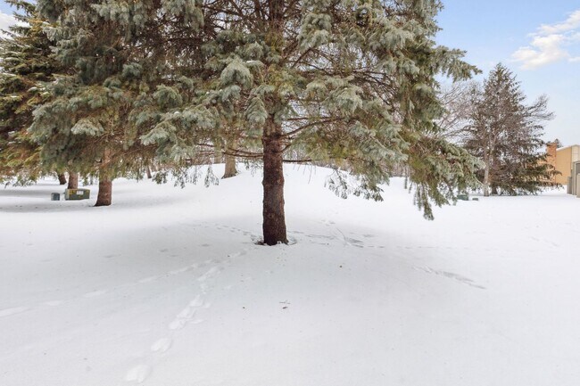Building Photo - Lovely 4BR 2BA Townhome in Coon Rapids