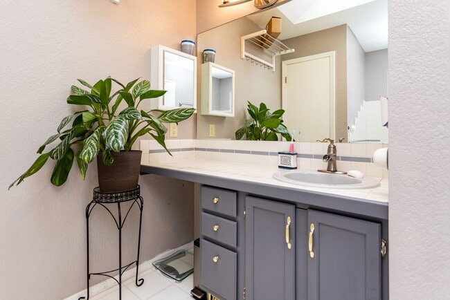 Building Photo - Beautiful Briargate Home on a Spacious Cor...