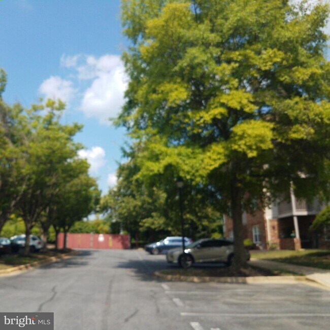 Building Photo - 9812 Lake Point Ct