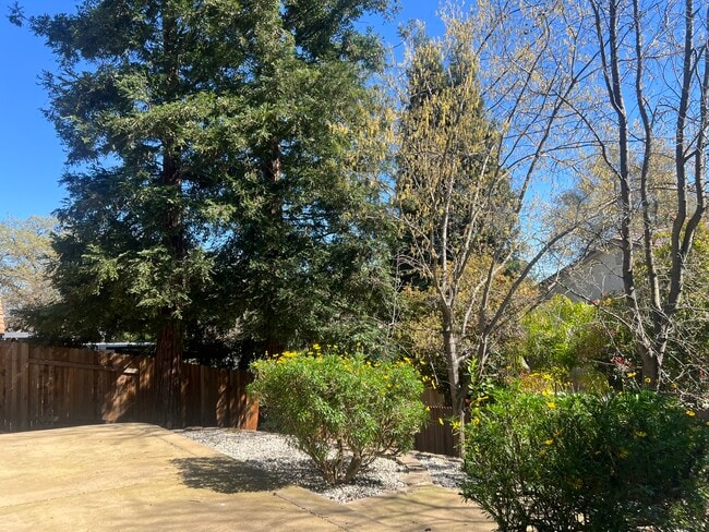 Building Photo - 15264 Medella Cir