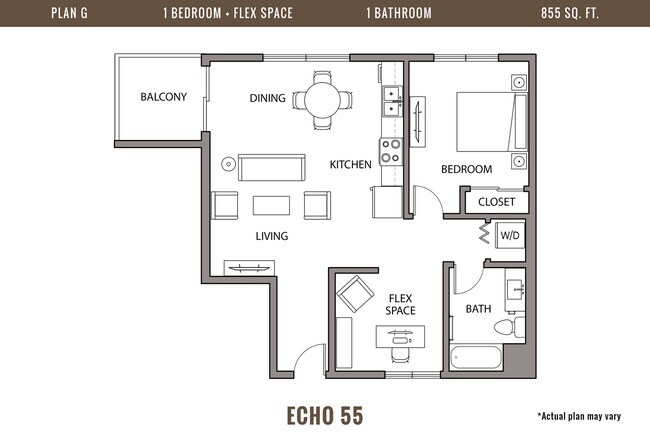 Floorplan - Echo 55