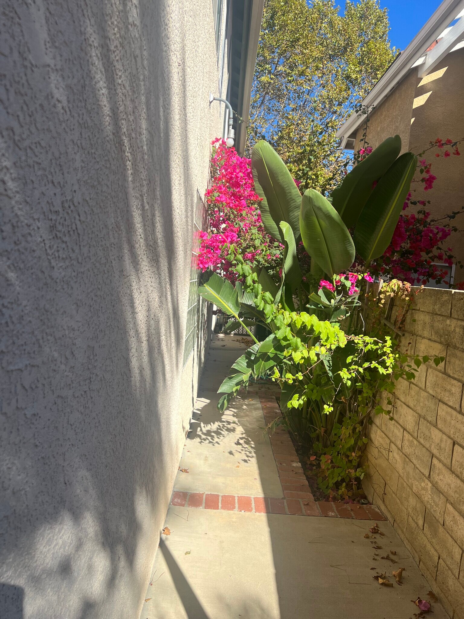 Building Photo - 5018 Evanwood Ave