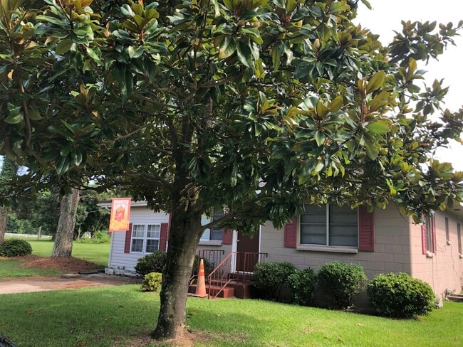 Primary Photo - 107 Smith St