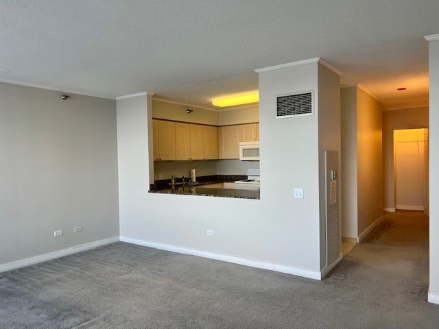 Building Photo - 512 N McClurg Ct