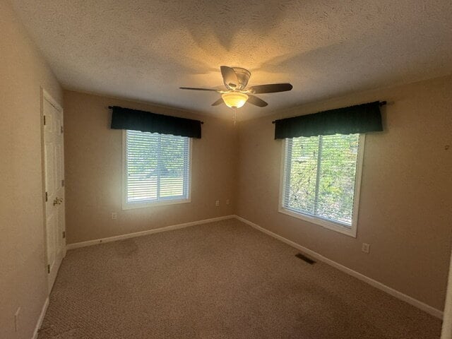 Building Photo - Mountain Home with Panoramic Skyline Drive Views available June 30th!