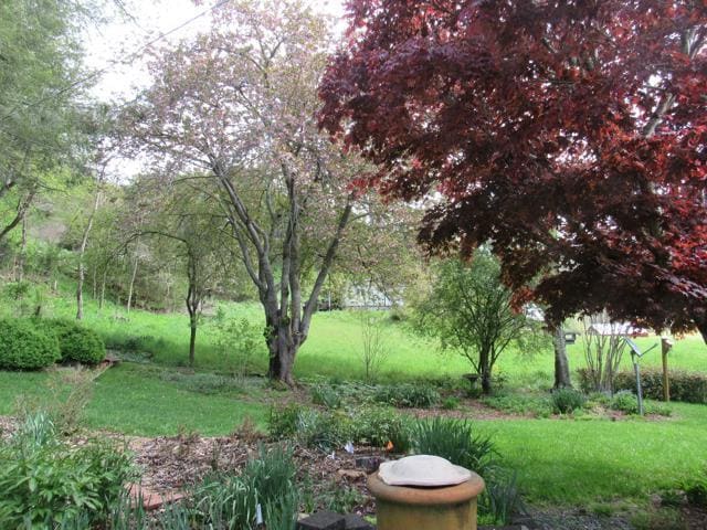 Building Photo - $1,600 - 2 Bed / 1.5 Bath House on Caney Fork with Stunning Landscaped Gardens