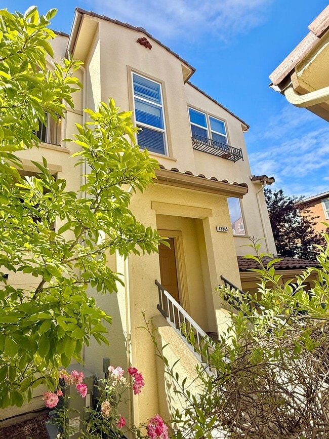 Building Photo - 43845 Paso Pino Common