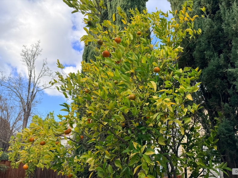 Building Photo - 317 Winged Terrace