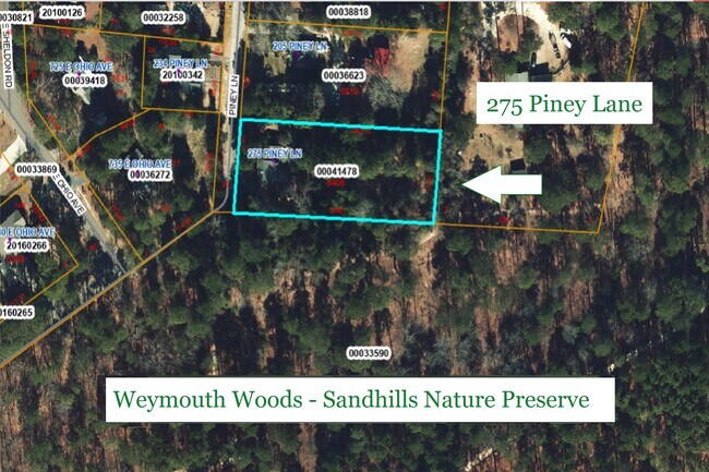 Building Photo - 275 Piney Ln