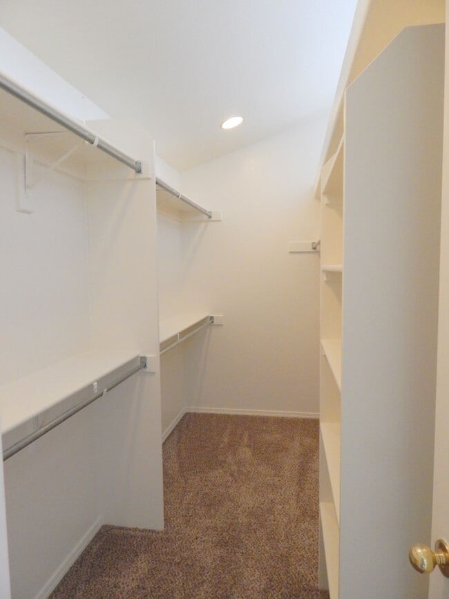 Building Photo - 203 Cleopatra St