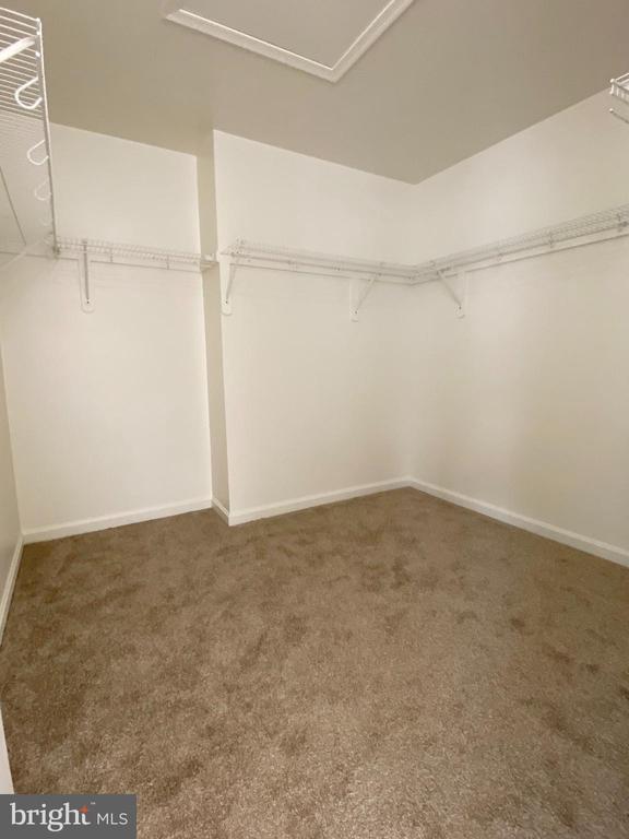 Building Photo - 5633 Sheals Ln