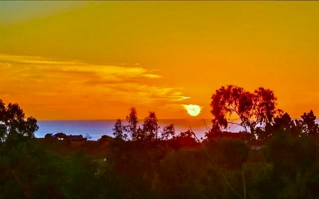 Building Photo - 1463 Paseo De Las Flores