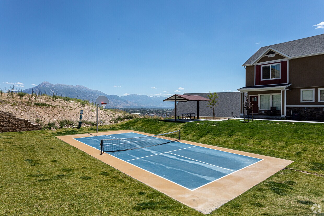 traverse mountain pet care