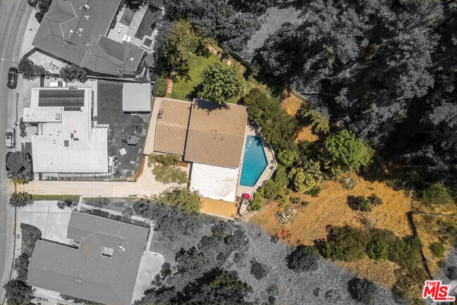 Building Photo - 2313 Banyan Dr